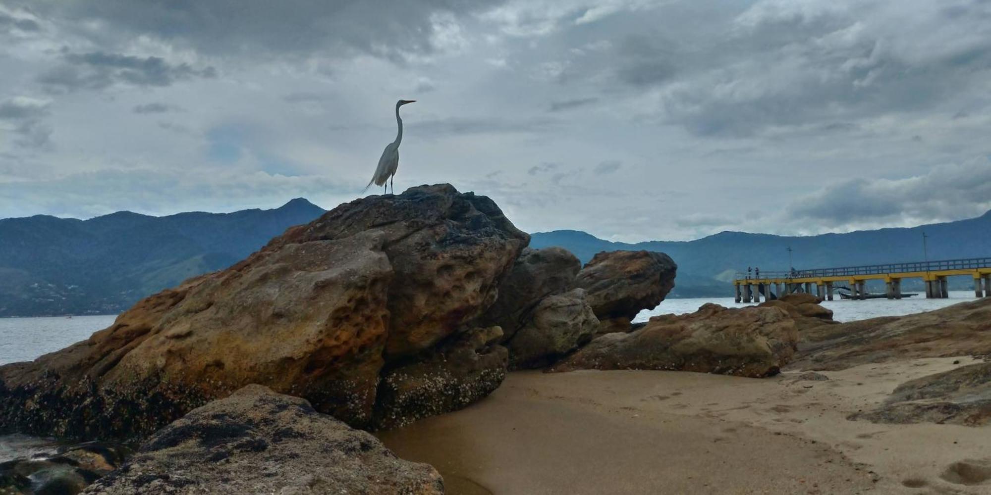 Sao Sebastiao - Suite Privativa Na Praia ภายนอก รูปภาพ